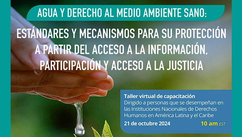 Invitación al Taller de la REDESCA sobre Derechos Económicos, Sociales, Culturales y Ambientales 